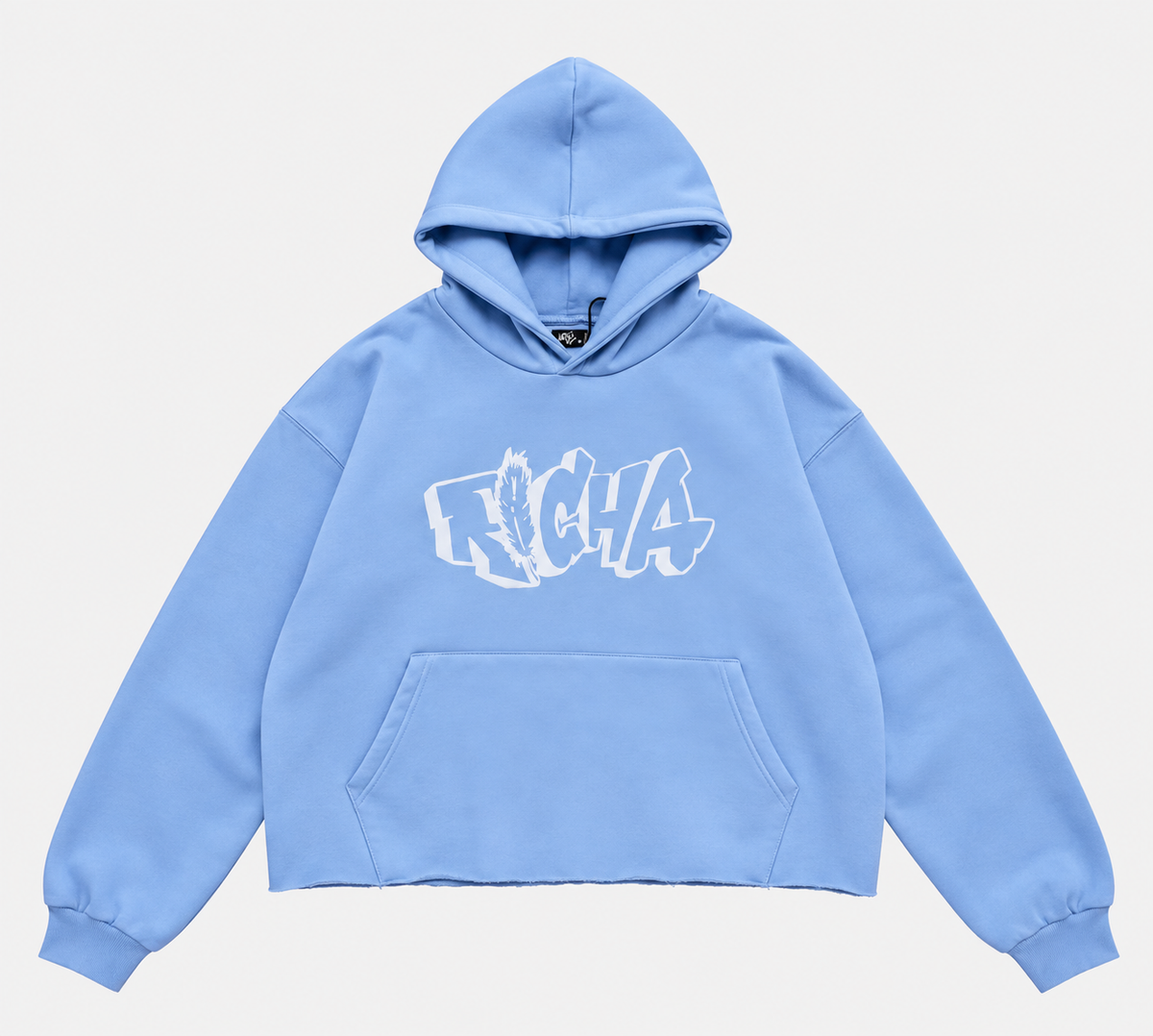 Blue Basic Hoodie